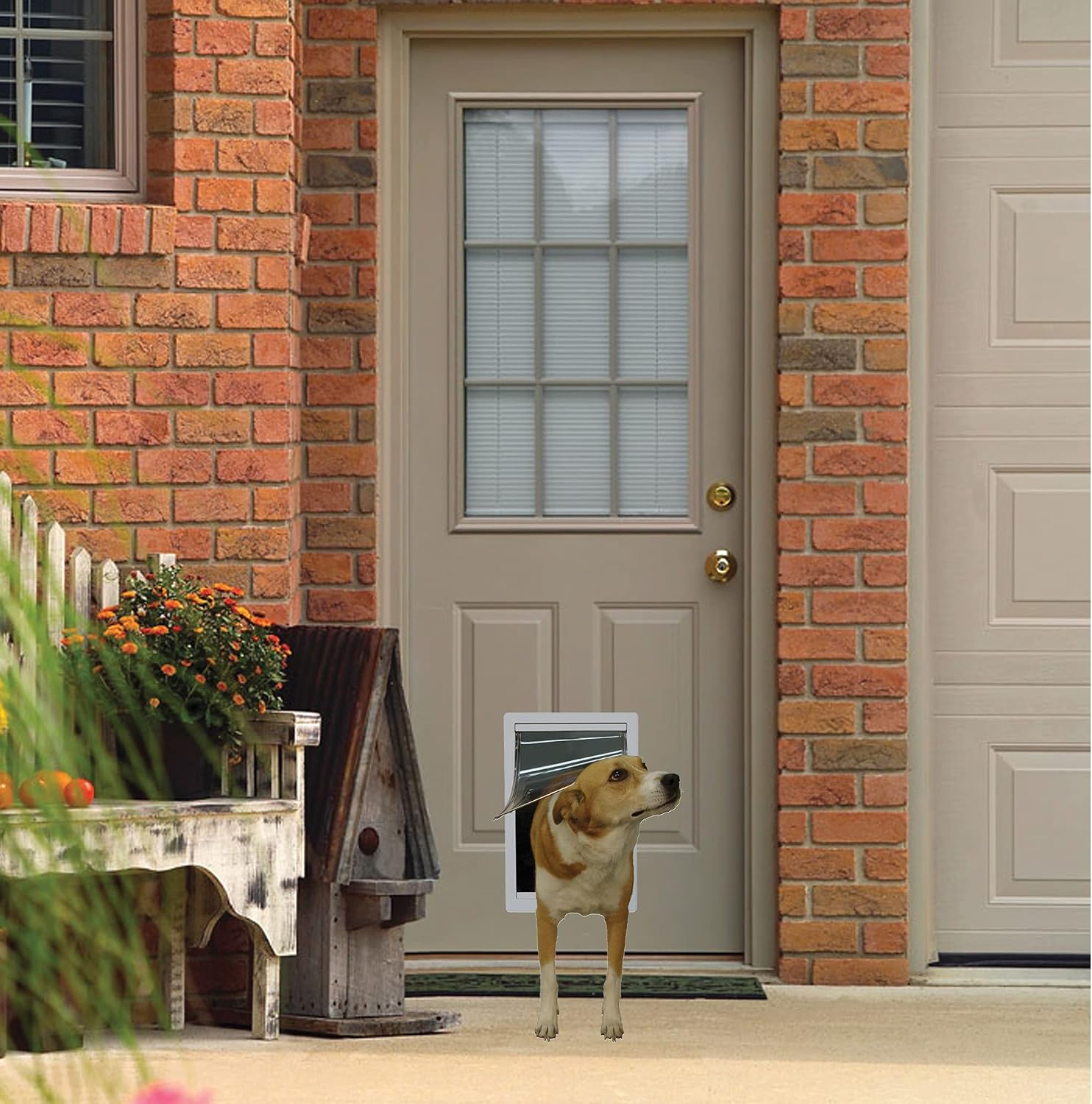 Designer Series Plastic Pet Door with Telescoping Frame, Medium, 7" x 11.25" Flap Size
