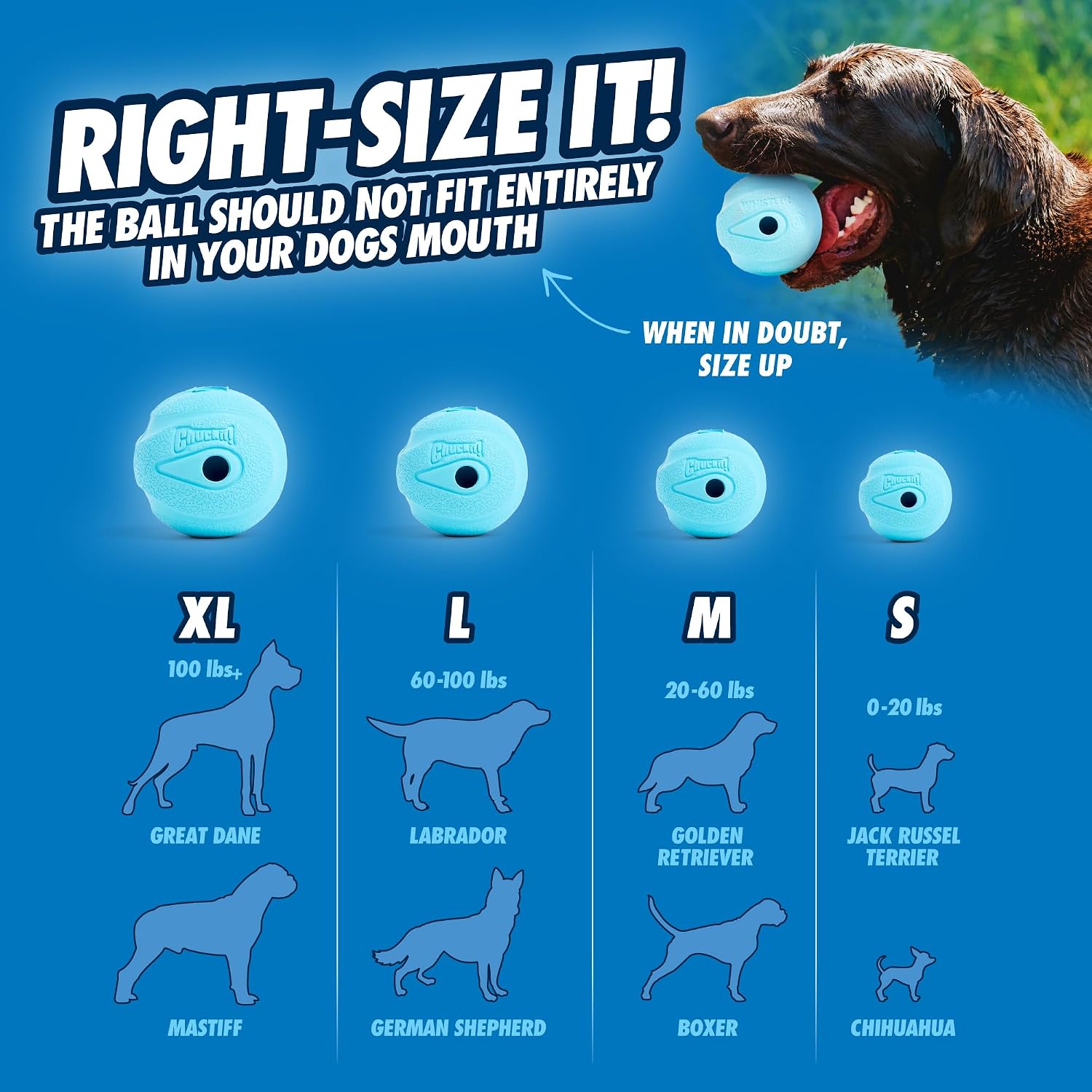 The whistler ball dog toy, small (2 inch diameter) for dogs 0-20 lbs, pack of 2 - view 5
