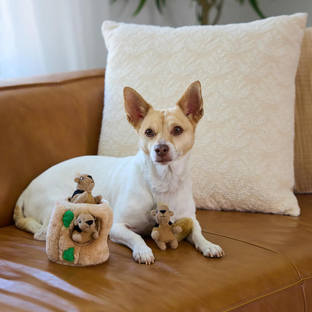 Squeakin’ Squirrels – 3‑Pack Plush Squeaky Dog Toys for Puppies, Small Dogs & Hide-A-Squirrel Replacements - view 5