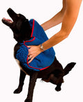 Super shammy dog towel - microfiber chenille towel for drying dogs and cleaning paws - fast drying with hand pockets for ease (blue/red trim, 31" x 14") | hand-pocket design; noodle-texture chenille; gentle on paws & skin; for bath time, beach