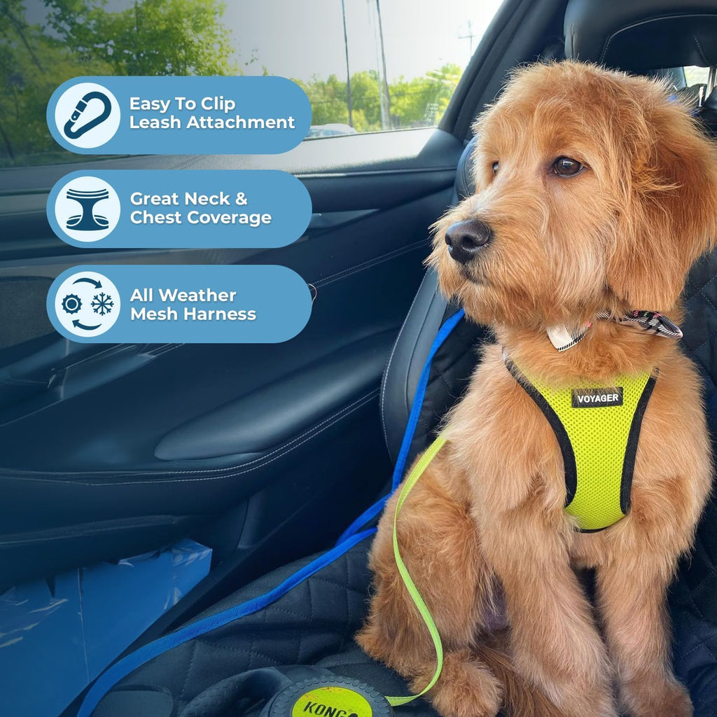 Voyager Step-in Air All Weather Mesh Harness and Reflective Dog 5ft Leash Combo with Neoprene Handle, for Small, Medium and Large Breed Puppies - Lime/Black Trim, Small - view 5