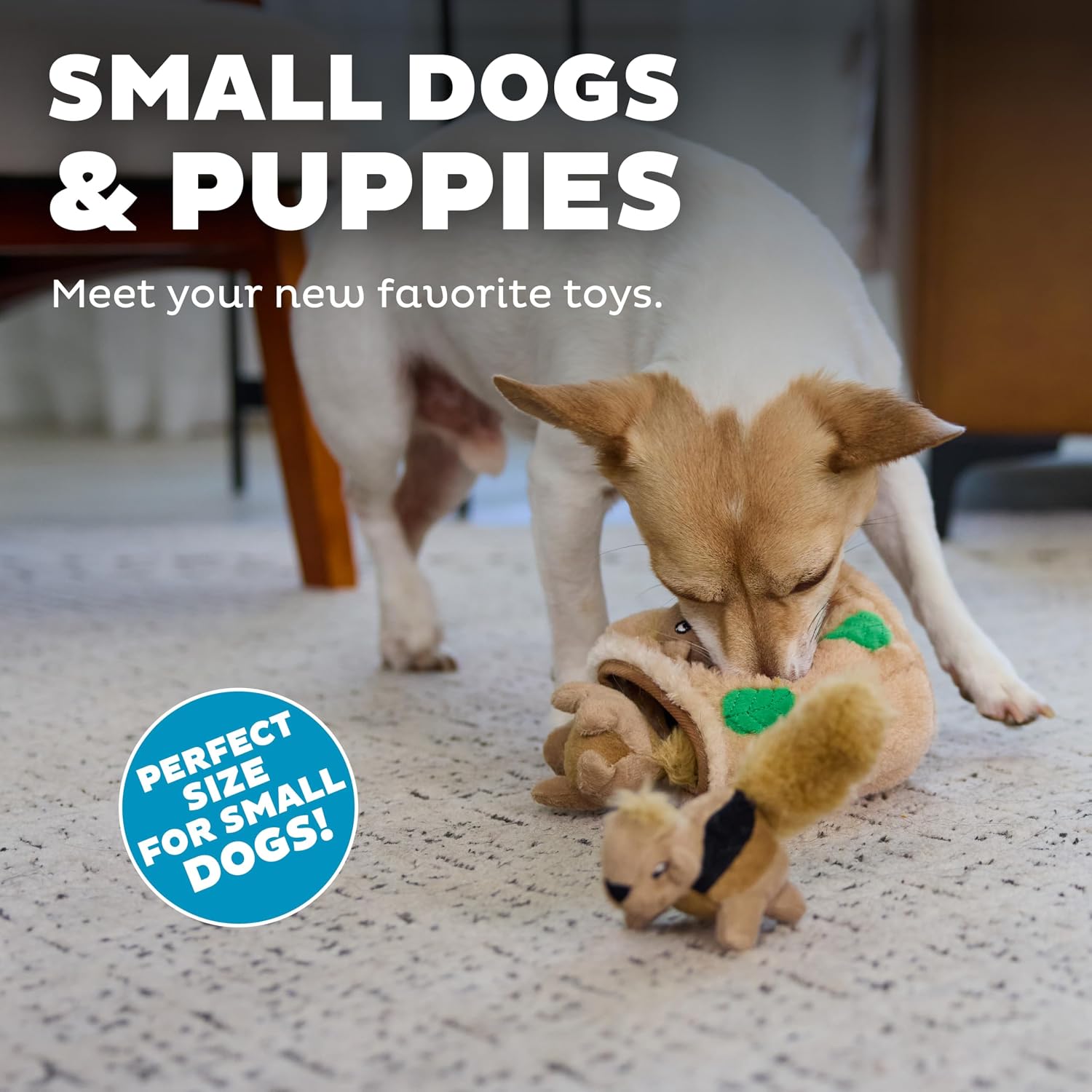 Squeakin’ Squirrels – 3‑Pack Plush Squeaky Dog Toys for Puppies, Small Dogs & Hide-A-Squirrel Replacements - view 4