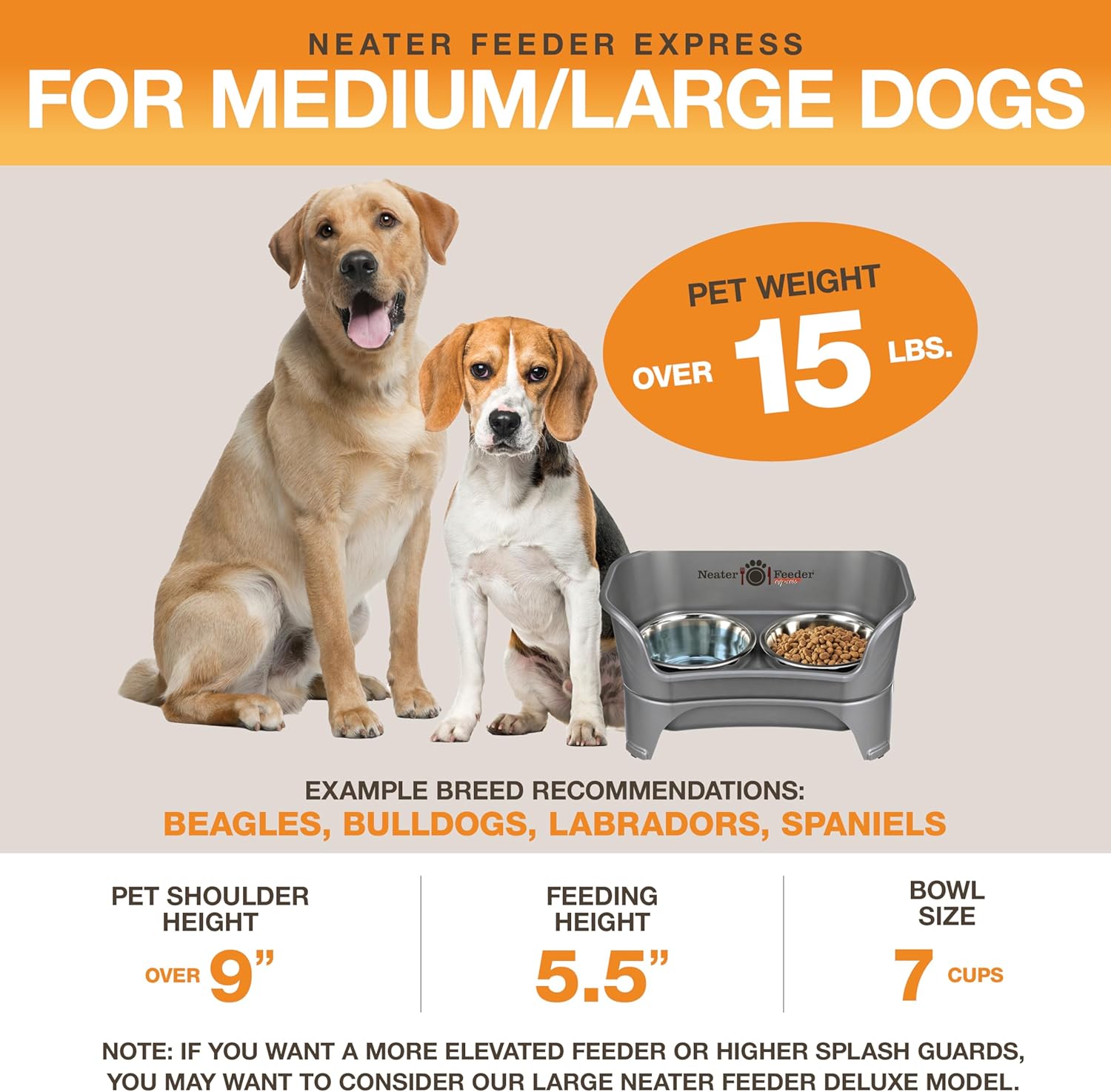 Express Mess Proof Dog Bowls Elevated for Medium to Large Sized Breed, No Spill Raised Dog Food Bowl Stand, Stainless Steel Food and Water Bowl Set, Pet Dish Feeding Station, Grey - view 5