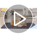 4 Pack Washable Pee Pads for Dogs, Waterproof Reusable Puppy Pads - view 7