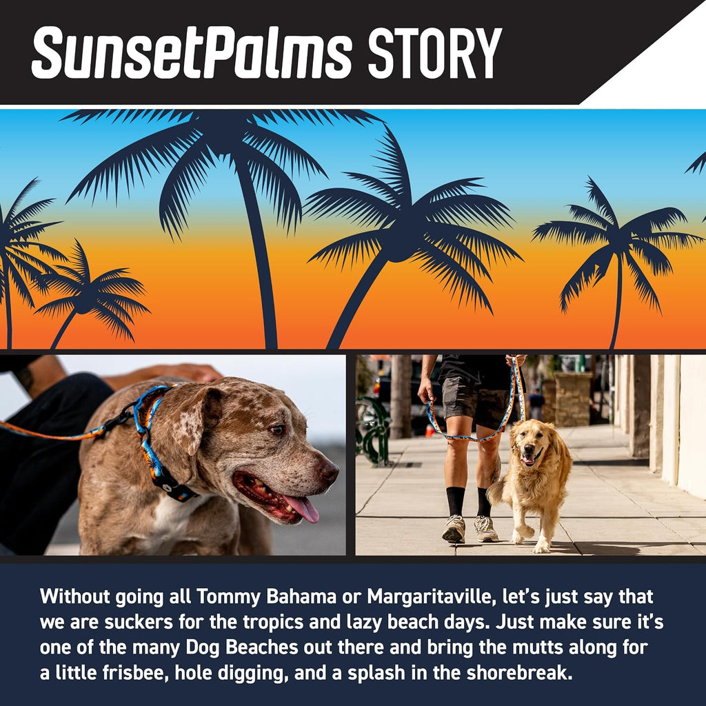 Heavy duty, adjustable dog collar with quick release nylon buckle for walking & training, sunsetpalms print, medium - view 2