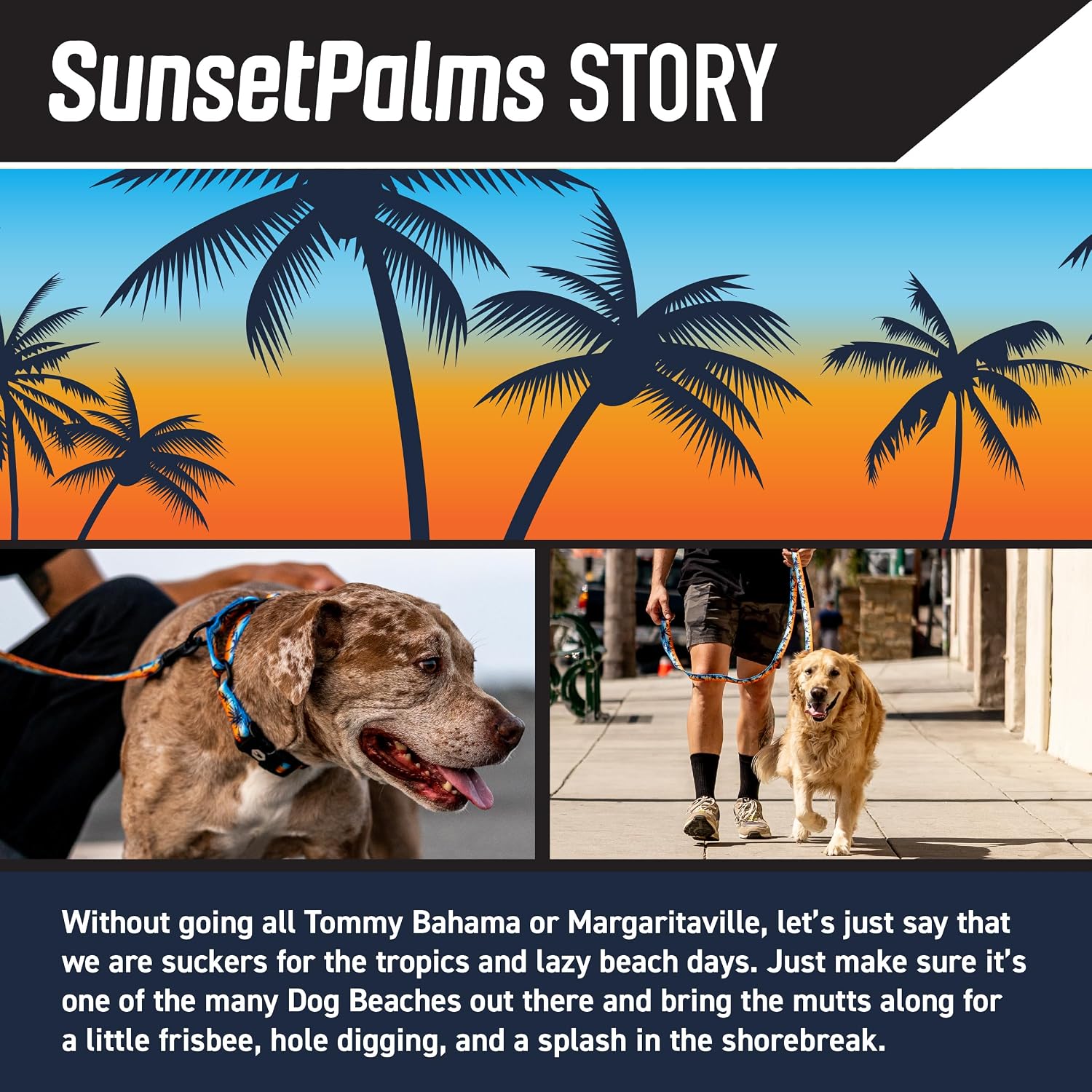 Heavy duty, adjustable dog collar with quick release nylon buckle for walking & training, sunsetpalms print, medium - view 2