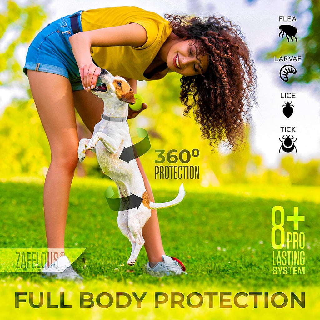 Flea and Tick Prevention for Dogs - Flea Collar - 2 Count - Adjustable - view 2