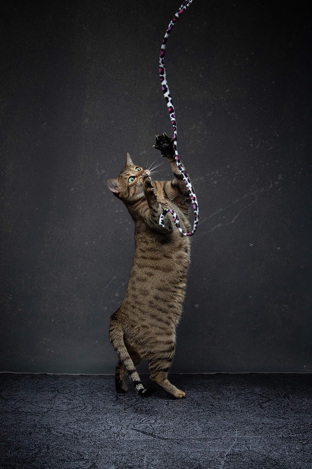 Jungle Cat Wand (Pack of 2), Charmer Interactive Cat Toy, Safe Teaser Wand for Indoor Cats & Kittens, Flexible Exercise Toy Made of Multicolor Fabric Ribbon, For Medium Breeds - view 4