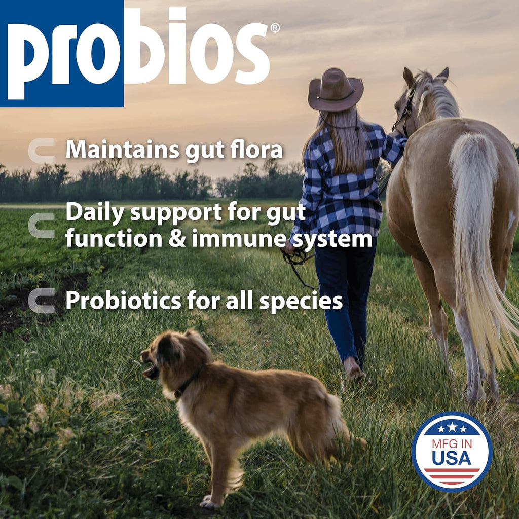 Digestive Support Powder for Pets, 5 lb | For dogs, cats, and horses, Daily probiotic, Digestive and immune support - view 2