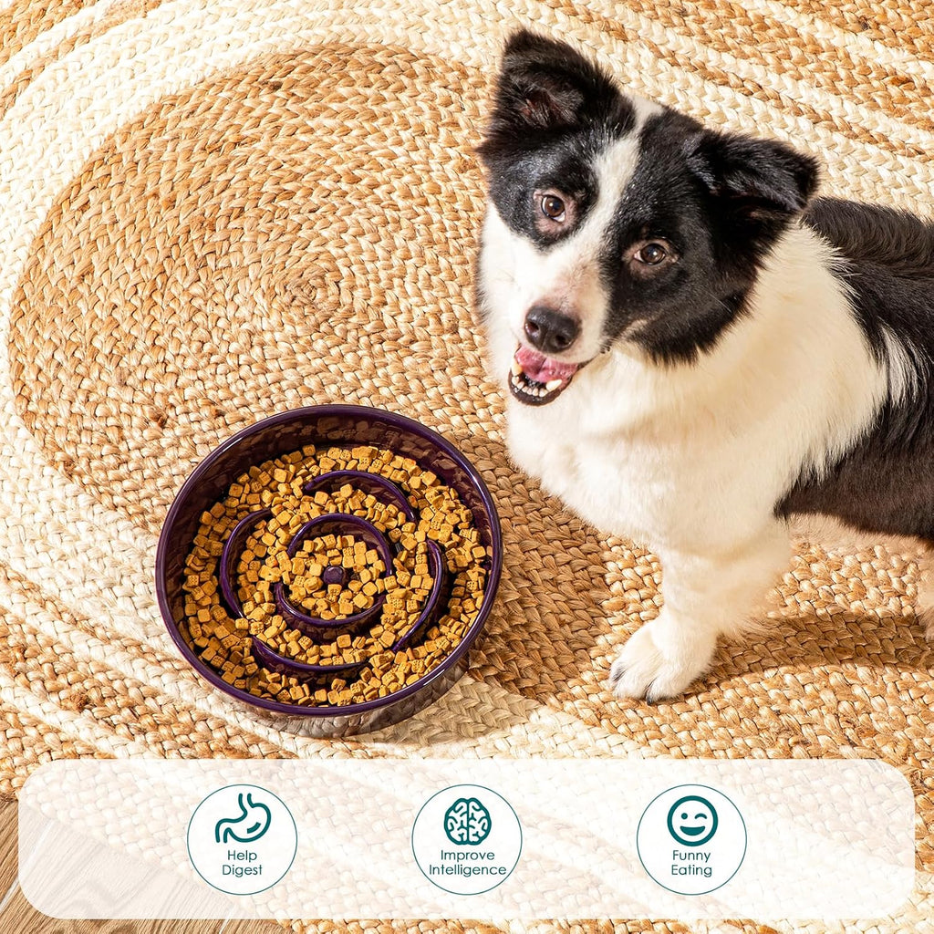 Slow Feeder Dog Bowl, 3 Cups Ceramic Large Puzzle Dog Food Dish | Maze Dog Food Bowl for Fast Eaters, Slow Feeding Design for Large Dogs, Promotes Healthy Eating Habits, Dark Purple - view 7