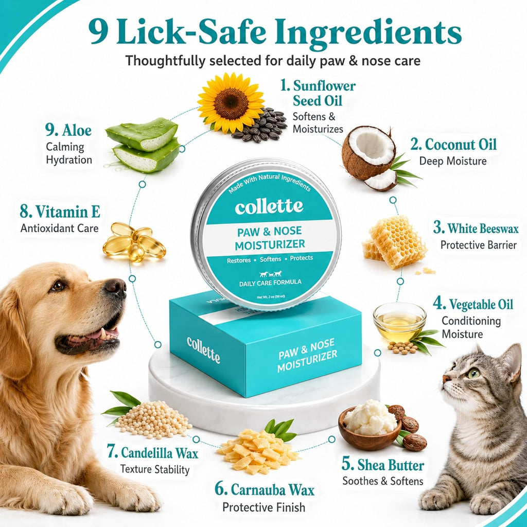 Dog Paw & Nose Balm, 2 oz – Natural Moisturizer for Dry, Cracked Paw Pads & Snout, Lick-Safe Dog Paw Balm, Daily Paw Care with Coconut Oil, Shea Butter & Aloe - view 5