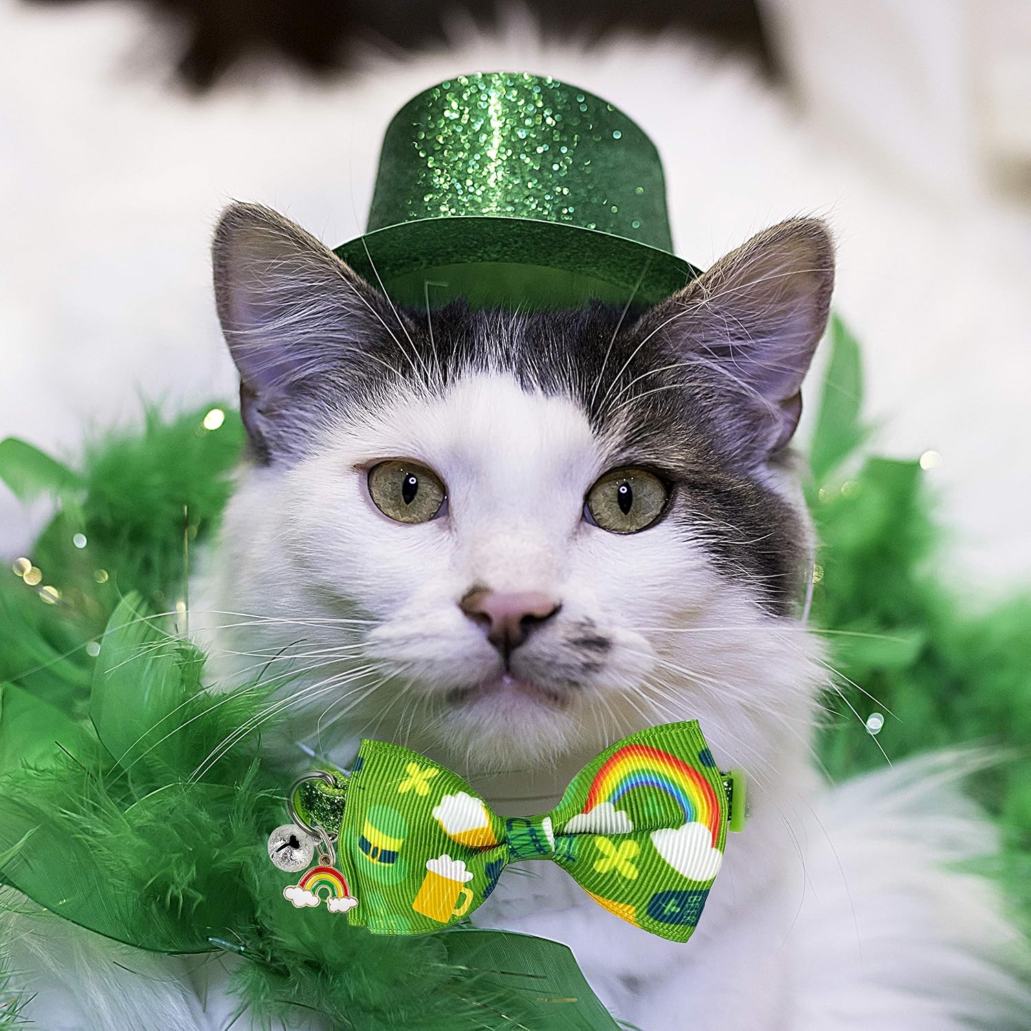 2 pack St. Patrick's cat collar with bow tie and bell, kitty kitten breakaway lucky Irish shamrock collar for girls and boys male female cats (the lucky one) - view 4