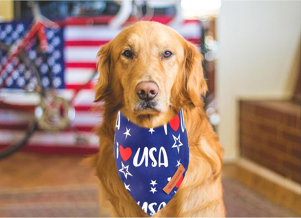 4th of July Bandanas 2 Pack, Triangle Reversible American Flag Pet Patriotic Scarf for Boy and Girl, Premium Durable Fabric, USA Bandana for Medium and Large Dogs (Large) - view 6