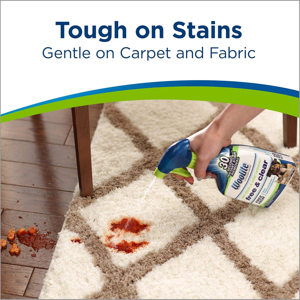 Woolite Free & Clear, Pet Stain & Odor Remover, 22oz (Pack of 2), 2719 - view 3