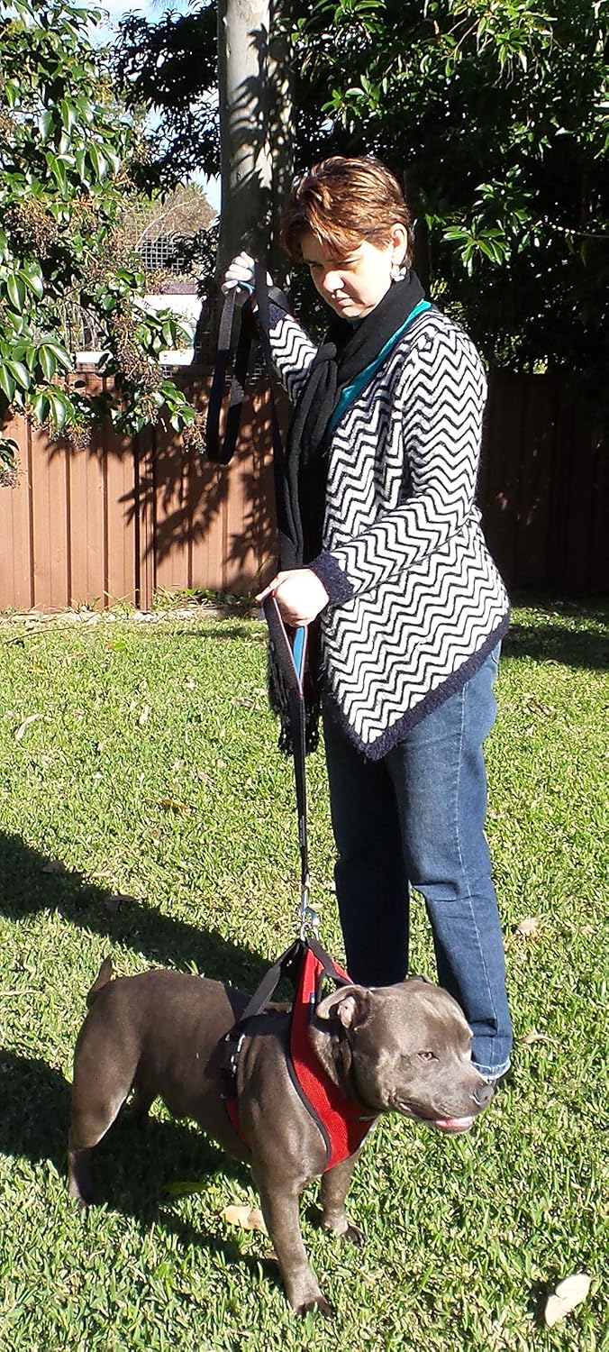 Dog Leash 6ft Long,Traffic Padded Two Handle,Heavy Duty,Reflective Double Handles Lead for Control Safety Training,Leashes for Large Dogs or Medium Dogs,Dual Handles Leads(Black) - view 4