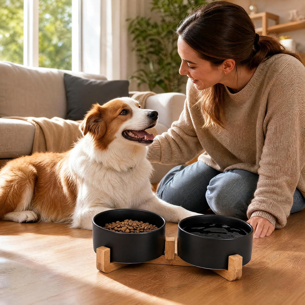Ceramic Dog Cat Bowls Set with Stand,Black Pet Food and Water Bowl,Small Dog Bowls Cute Modern Anti Slip Set of 2 Pet Feeder Small Size Pet Dish(13.5OZ/5.1 in) - view 2