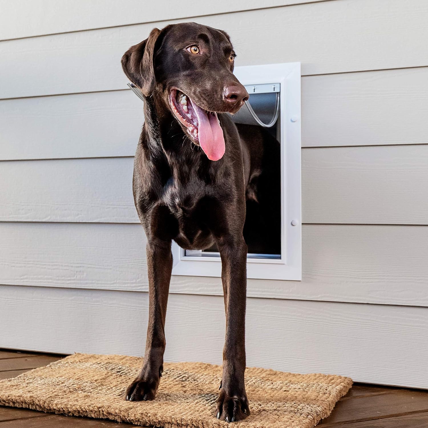 Wall Entry Pet Door, Telescoping, Dogs up to 100 lb, Large | Insulates Better Than Metal, Interior & Exterior Install, Weatherproof Double-Flap, DIY Telescoping Tunnel 4.75-7.25 in Walls - view 2