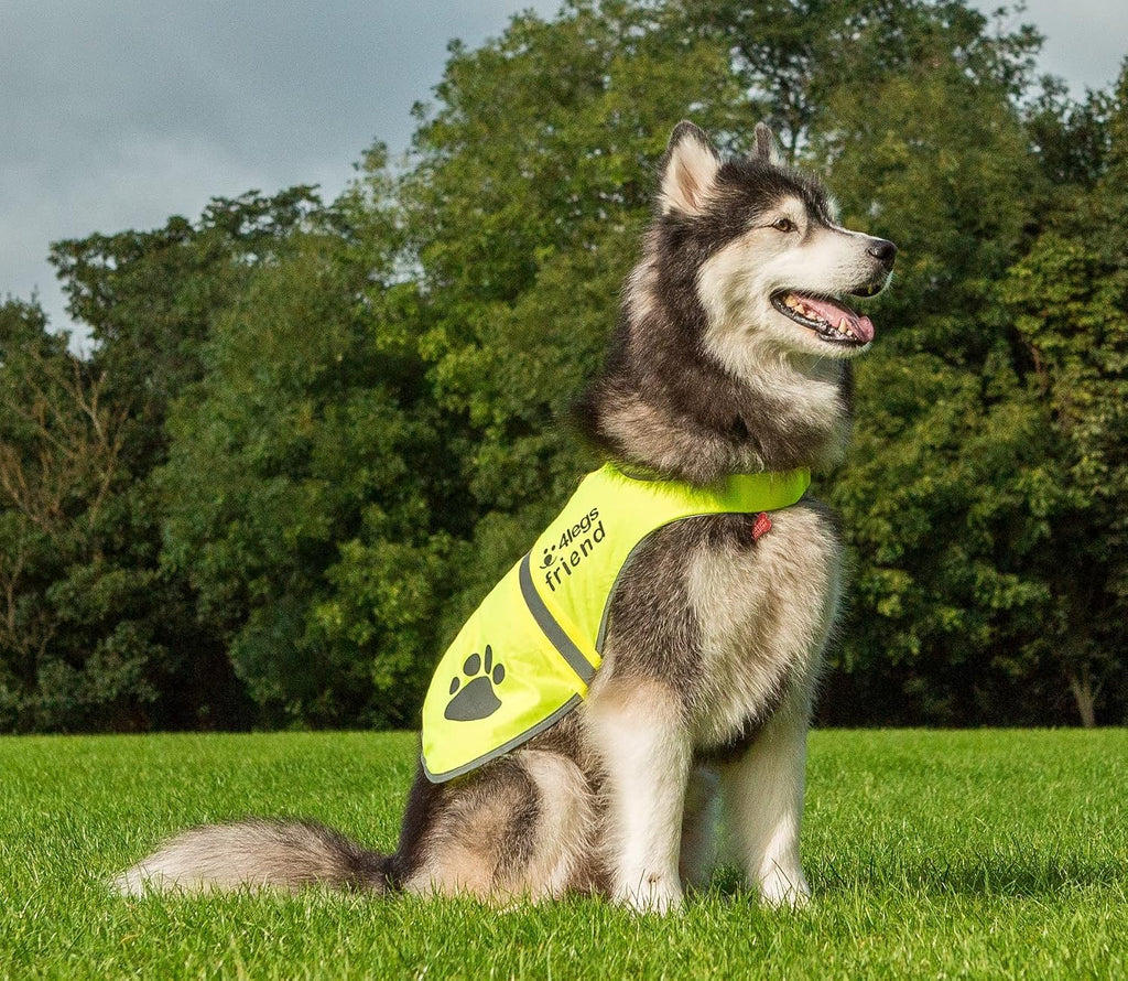 Safety reflective vest for dogs - high visibility for outdoor activity day and night, protect your pet from cars & hunting accidents - view 6