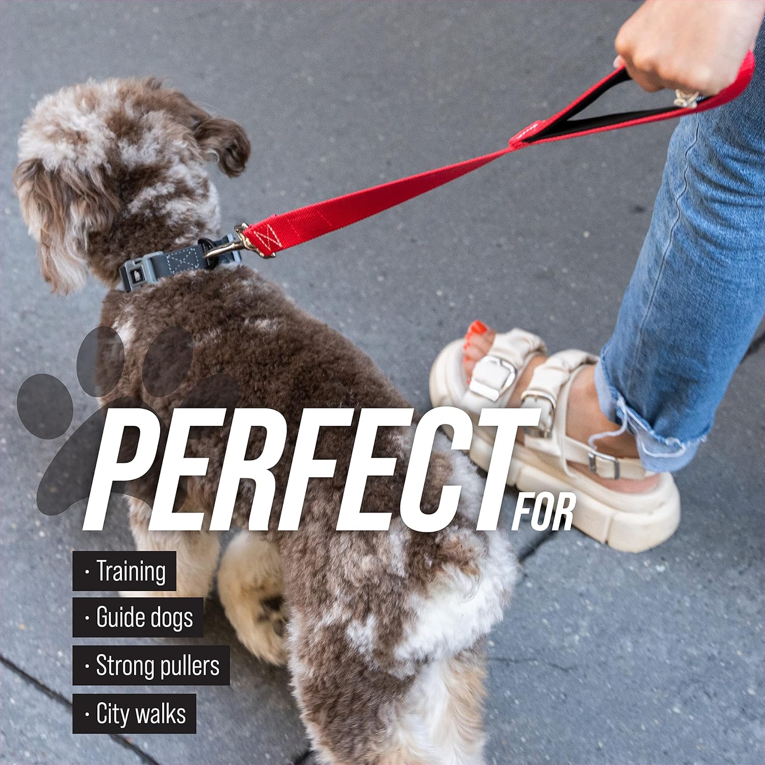 Traffic Handler - Short Dog Leash with Traffic Handle for Large Dogs - Great for Double Dog Couplers, Service Dogs, and Training (12 in, Red) - view 5