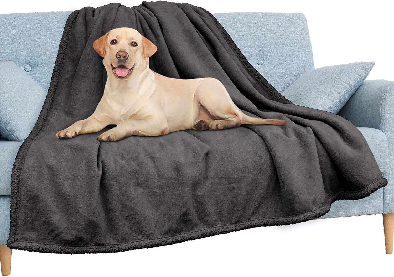 Waterproof Couch Blanket | Dog & Cat Blanket Protector | Plush Soft Warm Fuzzy Sherpa Throw, Dark Grey, 60x80