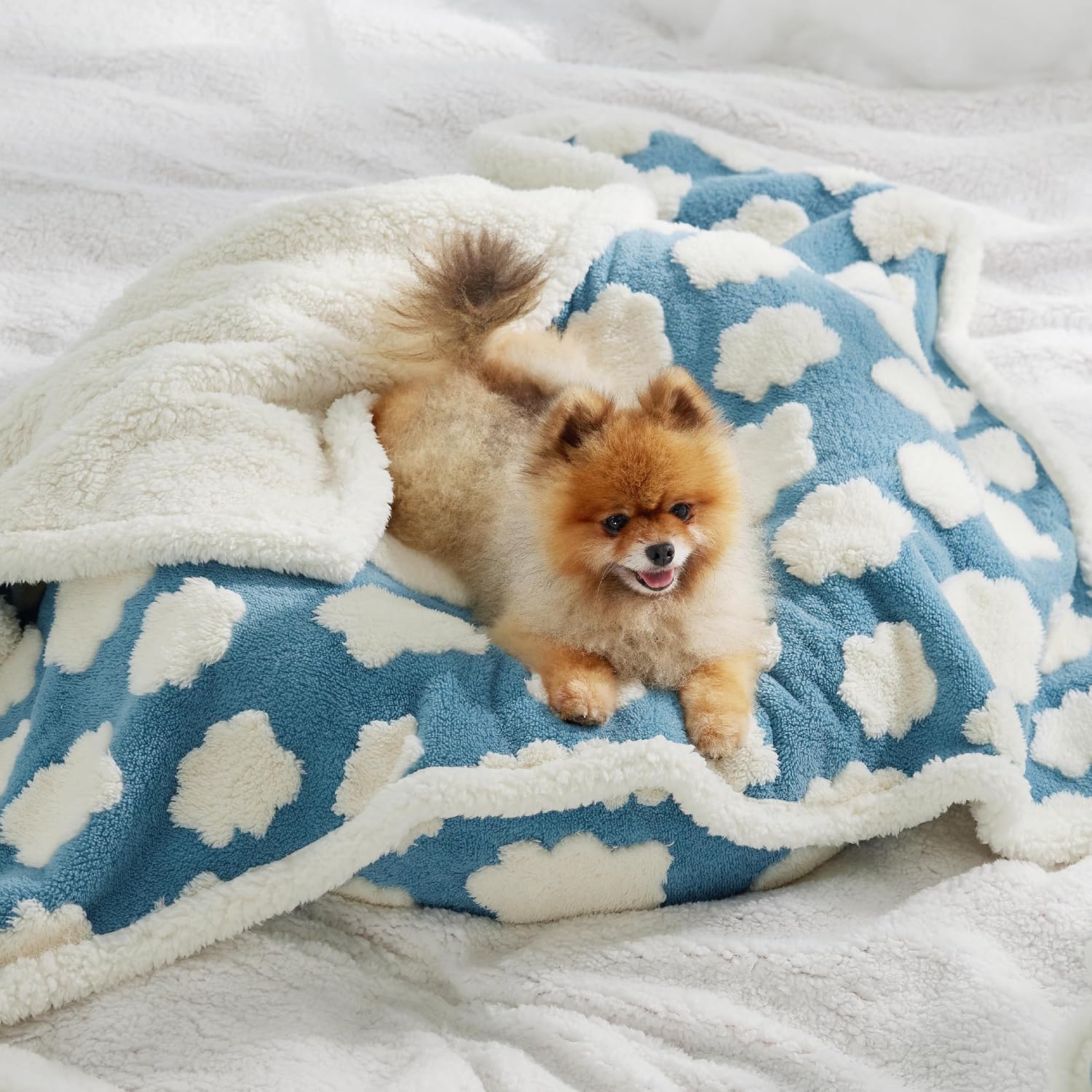 Waterproof Dog Blankets for Small Dogs Cute Cozy 3D Jacquard,25x35 | Puppy Blanket for Cat Aesthetic Gift, Warm Soft Sherpa Throw Washable, Reversible Pet Couch Protector, Clouds Blue - view 8